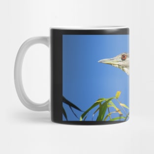 Black-crowned Night-Heron Mug